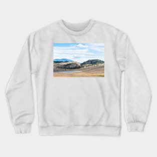 Desert Grasslands Blue Sky View Crewneck Sweatshirt